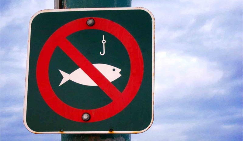 заборона на вилов риби в зимувальних ямах